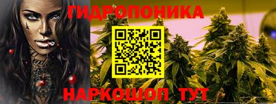 гидропоника Чапаевск