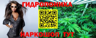 гидра Красноармейск
