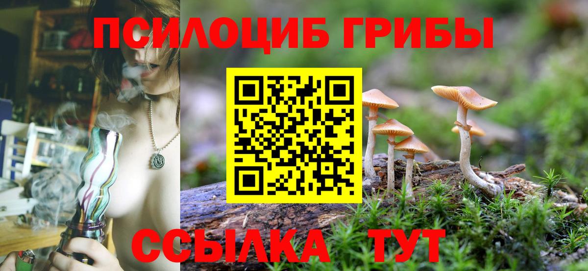 Псилоцибиновые грибы прущие грибы Лянтор
